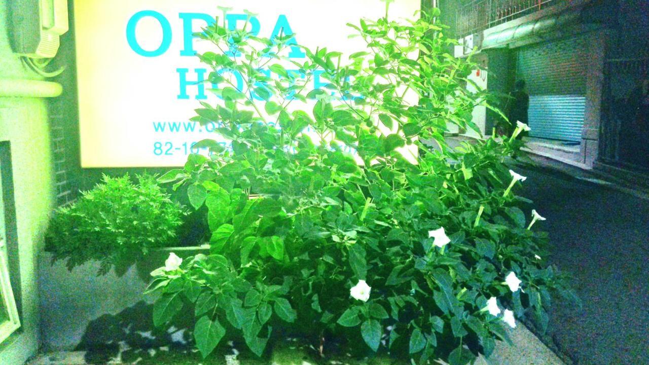 Oppa Hostel Sinchon-Hongdae Seoul Exterior photo